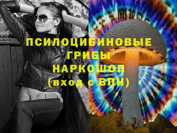 дживик Балахна