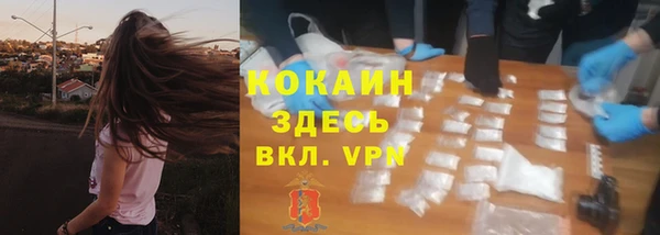 дживик Балахна