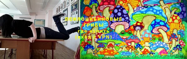 дживик Балахна
