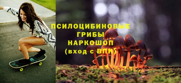 дживик Балахна