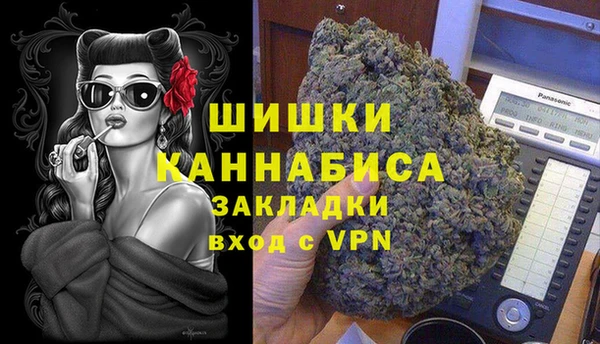 бошки Белокуриха