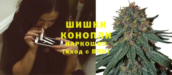 бошки Белокуриха
