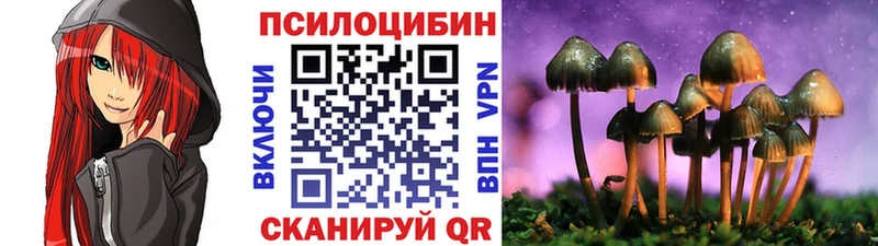 мега сайт  Волосово  Псилоцибиновые грибы Psilocybine cubensis 